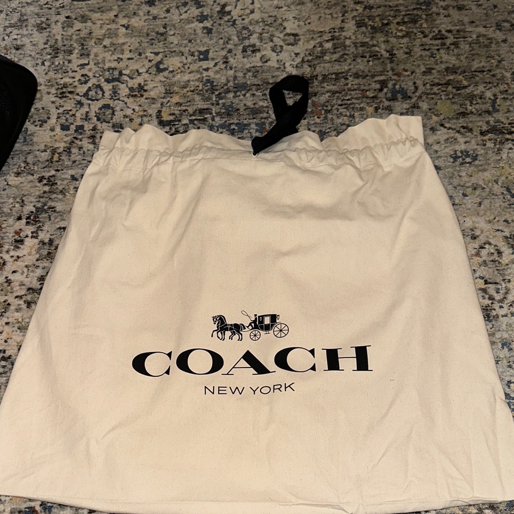Coach Edie tote in Black and Teal with python trim - Picture 12 of 13